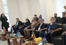 بهره‌برداری از سایت‌های ارتباطی روستایی ایرانسل در کرمان با حضور وزیر ارشاد