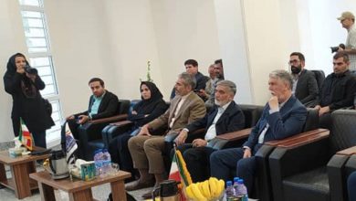 بهره‌برداری از سایت‌های ارتباطی روستایی ایرانسل در کرمان با حضور وزیر ارشاد