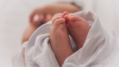 تولد ۱۳ میلیون نوزاد از لوله آزمایش؛ نخستین گزارش جهانی از آمار تولدهای IVF منتشر شد