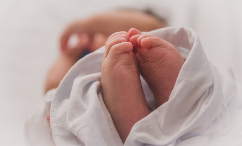 تولد ۱۳ میلیون نوزاد از لوله آزمایش؛ نخستین گزارش جهانی از آمار تولدهای IVF منتشر شد