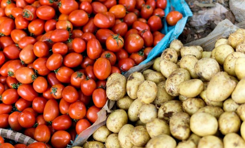 سیب زمینی چیست؟ نتیجه درهمآمیختن گوجهای ۹ میلیون ساله با گیاهی دیگر