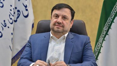 فیروزآبادی: بعضی شرکت‌های بزرگ غیرخصوصی کشور وی‌پی‌ان فروش‌ هستند