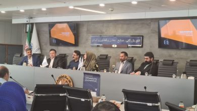 مدیر توسعه خدمات ابری و هوش مصنوعی فناپ: پتانسیل تولد یونیکورن‌ها در ایران از بین رفته است