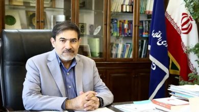 معاون فناوری دولت یازدهم: ایده سیستم‌ عامل بومی برای عموم مردم شکست می‌خورد