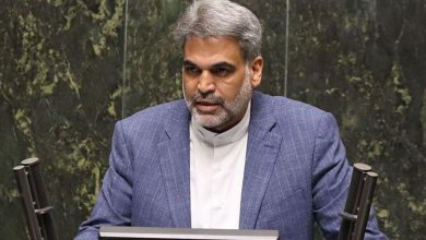 نماینده مجلس: دولت فعلی اقدام مؤثری برای کسب‌وکارهای آنلاین انجام نداده است