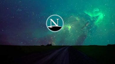 نت‌اسکیپ و آغاز تاریخچه باگ بانتی در سال ۱۹۹۵