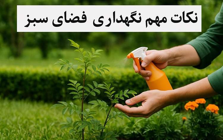 چک‌ لیست کاشت نهال + نکات مهم نگهداری فضای سبز