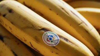 ادغام Nano Banana با NotebookLM و جست‌وجوی گوگل؛ مرزهای جدید خلاقیت با هوش مصنوعی
