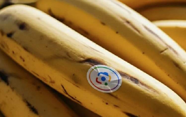 از ویدیوهای آبرنگی تا ویرایش چت‌محور تصاویر؛ گوگل کاربرد Nano Banana را گسترش می‌دهد