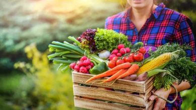 اصلاح رژیم غذایی علاوه بر کاهش آلاینده‌ها جان میلیون‌ها انسان را نجات می‌دهد