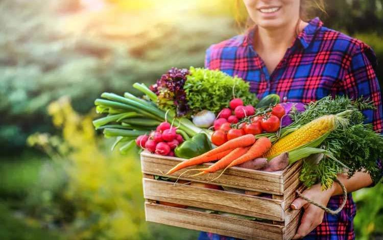 اصلاح رژیم غذایی علاوه بر کاهش آلاینده‌ها جان میلیون‌ها انسان را نجات می‌دهد