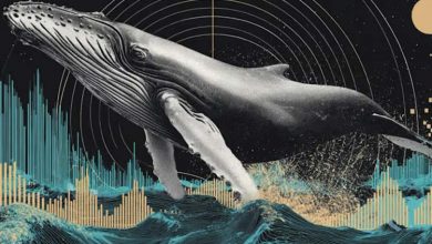 دیپسیک چگونه نفوذ خود را در قاره آفریقا گسترش میدهد؟