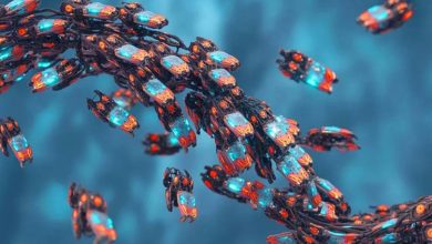 ربات‌های کوچک با الهام از طبیعت، هوشمند و خودترمیم می‌شوند