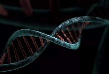 فشرده‌سازی ۳۰۰ برابری داده‌های DNA و تحول در پژوهش‌های ژنوم با «متاگراف»