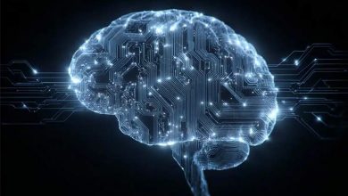 مغز انسان بهطور طبیعی برای یادگیری برنامهنویسی آماده است