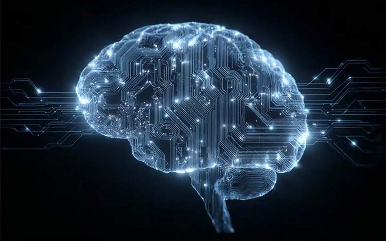 مغز انسان بهطور طبیعی برای یادگیری برنامهنویسی آماده است