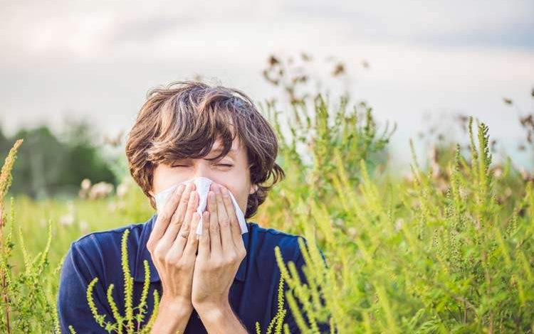 واکسن آلرژی غذایی و فصلی در راه است