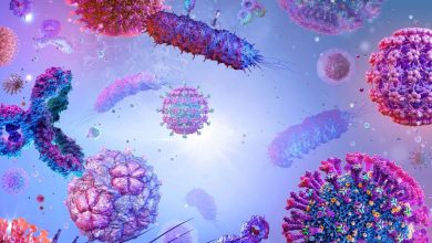 آنفولانزا در صدر ویروس‌های تنفسی ایران قرار گرفت؛ اعلام وضعیت وخیم در ۷ استان