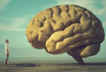 آیا مغز انسان «قدرت پیش‌بینی» دارد؟