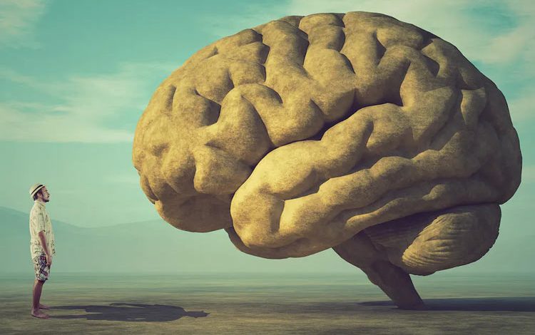 آیا مغز انسان «قدرت پیش‌بینی» دارد؟