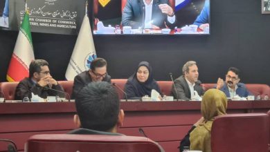 اقتصاد دیجیتال آخرین فرصت ایران؛ هشدار بانک مرکزی در نشست انجمن تجارت الکترونیک