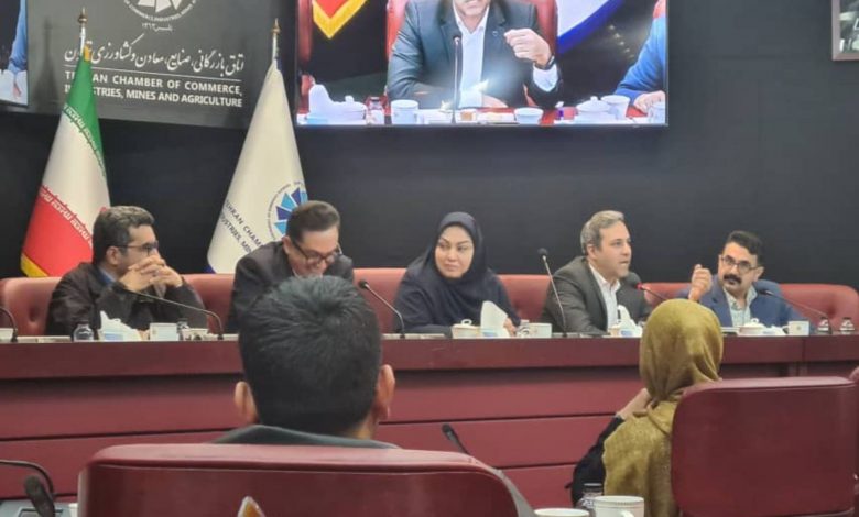 اقتصاد دیجیتال آخرین فرصت ایران؛ هشدار بانک مرکزی در نشست انجمن تجارت الکترونیک