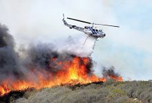 «الیت» در آتش؛ فناوری چطور می‌تواند جنگل‌ها را از حریق نجات دهد؟