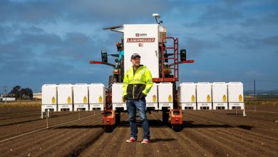 انقلاب در کشاورزی؛ این ماشین با لیزر علف‌های هرز را می‌سوزاند + ویدیو