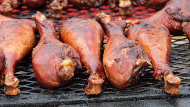 اگر دایناسورها هنوز زنده بودند، می‌توانستیم گوشتشان را بخوریم؟