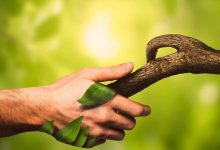 ایران صاحب رتبه دوم همبستگی با طبیعت در دنیا؛ پس چرا محیط زیست کشور در بحران است؟