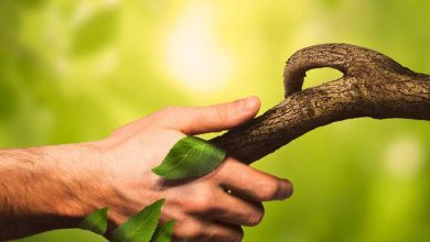 ایران صاحب رتبه دوم همبستگی با طبیعت در دنیا؛ پس چرا محیط زیست کشور در بحران است؟