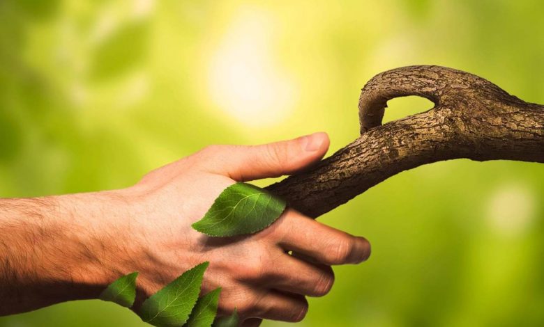 ایران صاحب رتبه دوم همبستگی با طبیعت در دنیا؛ پس چرا محیط زیست کشور در بحران است؟