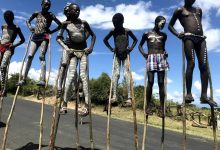 بحث تازه کاربران اینترنت: آیا راه رفتن با پایه‌های چوبی انرژی کمتری مصرف می‌کند؟