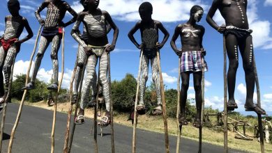 بحث تازه کاربران اینترنت: آیا راه رفتن با پایه‌های چوبی انرژی کمتری مصرف می‌کند؟