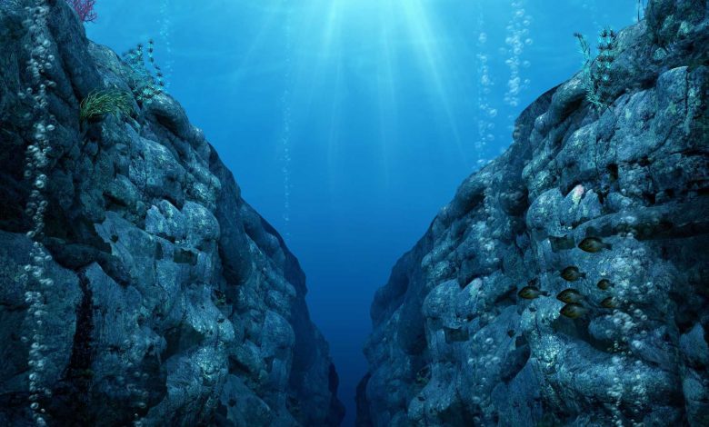 بقا در اعماق درازگودال ماریانا؛ حیات در یکی از سمی‌ترین نقاط سیاره نیز جریان دارد