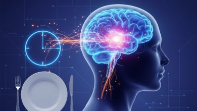 تاکنون درباره روزه‌داری اشتباه می‌کردیم؛ مطالعه‌ای جامع حقیقت رژیم فستینگ را آشکار می‌کند