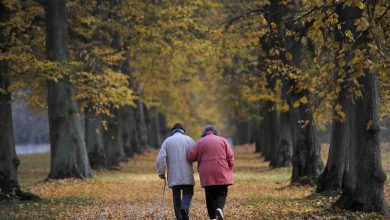 جادوی ۳ هزار قدم: پیادهروی روزانه جلوی پیشرفت آلزایمر را میگیرد
