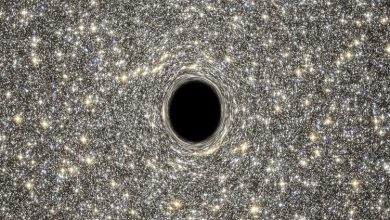 در چنگ تاریکی: اگر انسانی به درون سیاهچاله سقوط کند چه میشود؟