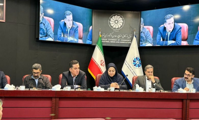 درخواست بخش خصوصی از دولت: ۵۰ درصد صندلی و ۳۰ درصد حق رأی در کارگروه اقتصاد دیجیتال