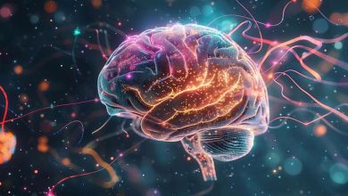 راز حواس‌پرتی پس از بی‌خوابی: هجوم ناگهانی مایع مغزی!