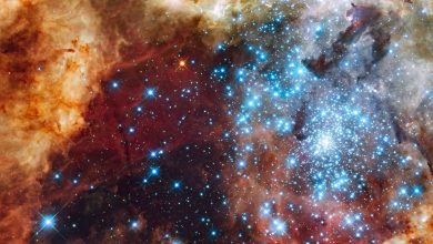 ردیابی «جام مقدس» کیهان: دانشمندان احتمالاً نخستین ستارگان جهان را یافتهاند