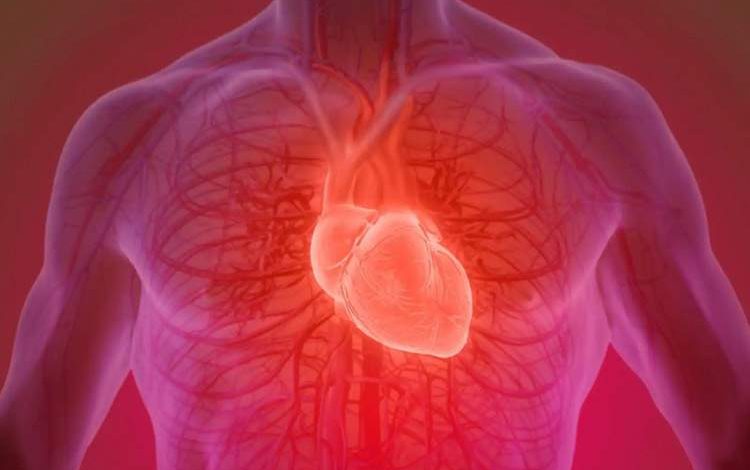 روند نزولی سلامت قلب از ۱۷ سالگی آغاز میشود