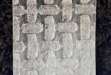 ساخت ربات‌ با کاغذ برنج؛ فناوری امیدبخش در کشاورزی و احیای جنگل‌