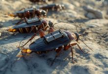 سوسک‌های جاسوس؛ آلمان ربات زنده می‌سازد