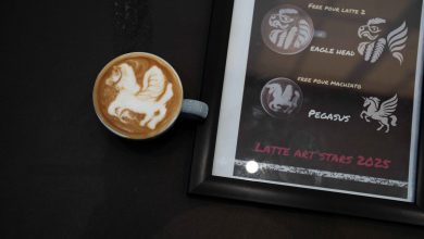 سومین دوره از مسابقات ستارگان لاته آرت