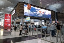 سگ‌های درمانگر و کپسول خواب: راز بهترین فرودگاه جهان فاش شد