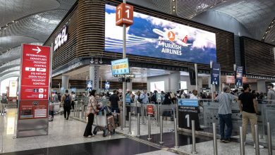 سگ‌های درمانگر و کپسول خواب: راز بهترین فرودگاه جهان فاش شد