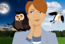 شب‌زنده‌داران باهوش‌ترند؟ حقایقی شگفت‌انگیز از تحقیقات جدید