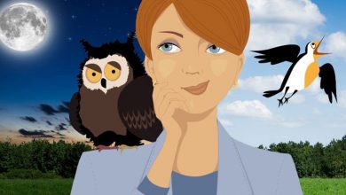 شب‌زنده‌داران باهوش‌ترند؟ حقایقی شگفت‌انگیز از تحقیقات جدید