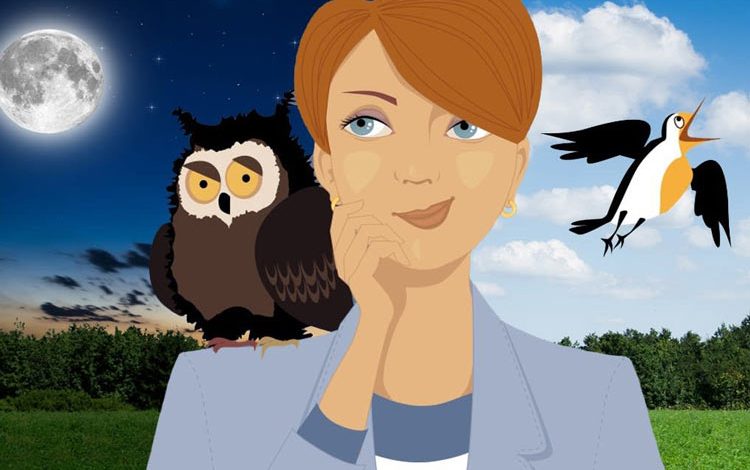 شب‌زنده‌داران باهوش‌ترند؟ حقایقی شگفت‌انگیز از تحقیقات جدید